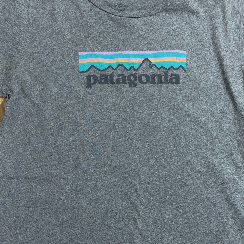 Patagonia Gray T Shirt Size Medium Gorpcore Outdoor Normcore Hiking Outside Eco - Picture 2 of 4